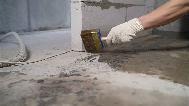 Top rated local Basement Waterproofing specialists in Nickerson, KS